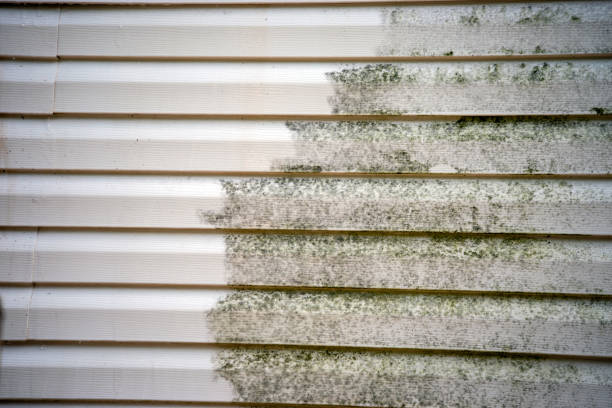 Moving and Downsizing Cleanouts in East Palo Alto, CA